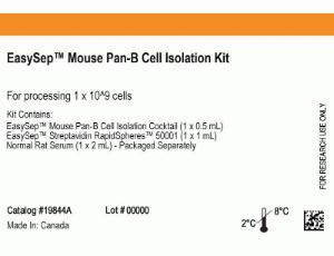 EasySep™ mouse Pan-B cell isolation kit