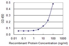 Anti-ST3GAL4 Mouse Monoclonal Antibody [clone: 1F4]