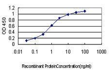 Anti-CDH17 Mouse Monoclonal Antibody [clone: 1H3]