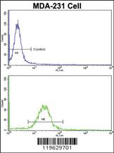 Anti-EPN3 Rabbit Polyclonal Antibody