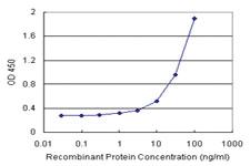 Anti-CTH Antibody Pair