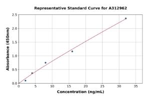 Representative standard curve for Human ADCY4 ELISA kit (A312962)