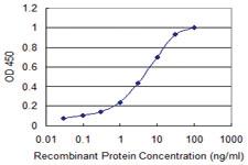 Anti-RGS10 Mouse Monoclonal Antibody [clone: 1G9-2D4]