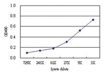 Anti-CTH Antibody Pair