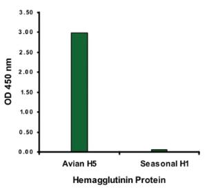 Anti-H5 Mouse Monoclonal Antibody [clone: 4H1C10]