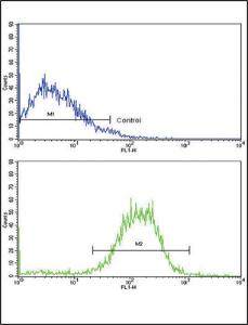 Anti-CDH1 Rabbit Polyclonal Antibody (APC (Allophycocyanin))