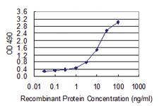 Anti-PPID Polyclonal Antibody Pair