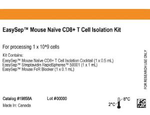 EasySep™ mouse Naïve CD8+ T cell isolation kit