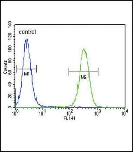 Anti-INHBA Rabbit Polyclonal Antibody (APC (Allophycocyanin))