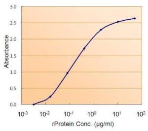 Anti-SMAD9 Antibody (A82495) (15 µg/ml) as the reporter with the capture rabbit antibody (25 µg/ml)