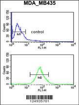 Anti-LUZP1 Rabbit Polyclonal Antibody (APC (Allophycocyanin))