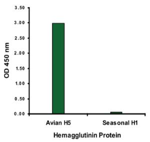 Anti-H5 Mouse Monoclonal Antibody [clone: 1E7D8]