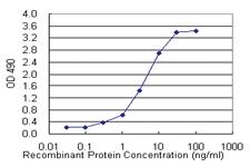 Anti-CTLA4 Mouse Monoclonal Antibody (Biotin)