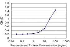 Anti-HMGA2 Mouse Monoclonal Antibody [clone: 1D8]