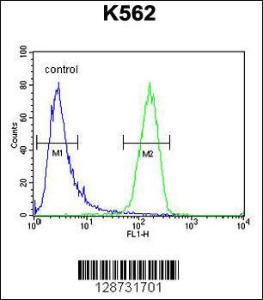 Anti-IQCJ Rabbit Polyclonal Antibody