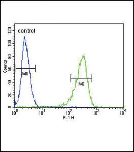 Anti-OAT Rabbit Polyclonal Antibody (Biotin)