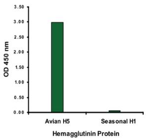 Anti-H5 Mouse Monoclonal Antibody [clone: 7B9B2]