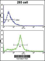 Anti-ERBB3 Rabbit Polyclonal Antibody