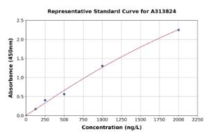 Representative standard curve for human SHP2 ELISA kit (A313824)