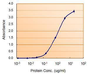 Anti-MAOB Antibody (A82500) (0.5µg/ml) as the reporter with the capture rabbit antibody (2.5µg/ml)