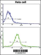 Anti-ERAS Rabbit Polyclonal Antibody