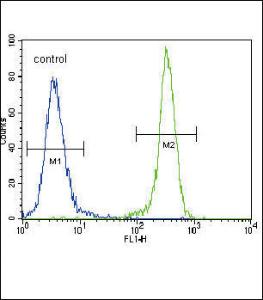 Anti-CDH1 Rabbit Polyclonal Antibody