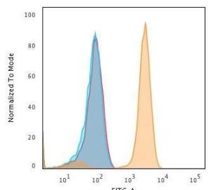 Flow cytometric analysis of human Jurkat cells using Anti-Transferrin Receptor Antibody [DF1513] followed by Goat Anti-Mouse IgG (CF&#174; 488) (Orange) Unstained cells (Blue) Isotype Control (Red)