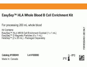 EasySep™ HLA B cell Enrichment: Complete Processing kit for whole blood