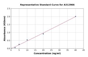 Representative standard curve for Mouse MMP12 ELISA kit (A312966)