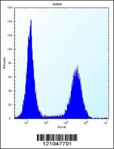 Anti-RNF11 Rabbit Polyclonal Antibody