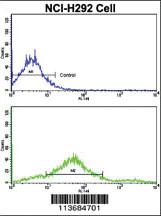 Anti-CDH7 Rabbit Polyclonal Antibody