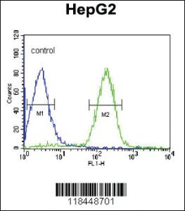 Anti-ORM1 Rabbit Polyclonal Antibody