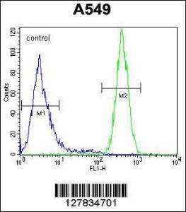 Anti-GOLGA2P5 Rabbit Polyclonal Antibody