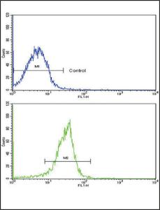 Anti-Osteonectin Rabbit Polyclonal Antibody