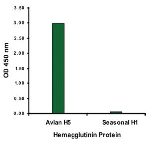 Anti-HA1 Mouse Monoclonal Antibody [clone: 4E11E1]