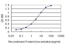 Anti-FATE1 Mouse Monoclonal Antibody [clone: 3B1]