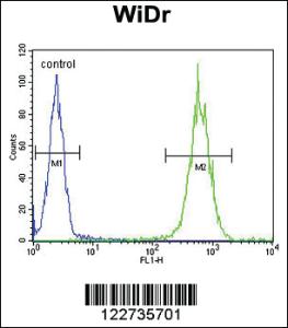 Anti-ALDH5A1 Rabbit Polyclonal Antibody