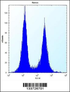 Anti-CD27 Rabbit Polyclonal Antibody (APC (Allophycocyanin))