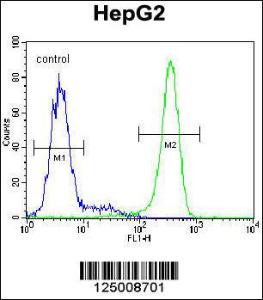 Anti-K0090 Rabbit Polyclonal Antibody