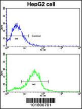 Anti-BMPR2 Rabbit Polyclonal Antibody