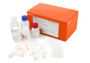 illustra™ plasmidPrep Mini Spin Kit, 50 preps