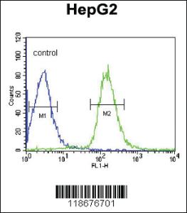 Anti-ALB Rabbit Polyclonal Antibody