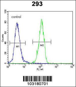 Anti-H3F3AP6 Rabbit Polyclonal Antibody