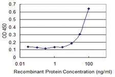 Anti-CRHBP Mouse Monoclonal Antibody [clone: 3D9]