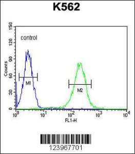 Anti-KIAA1324L Rabbit Polyclonal Antibody (AP (Alkaline Phosphatase))