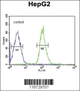 Anti-FGFR1 Rabbit Polyclonal Antibody