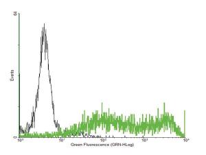 Anti-F3 Mouse Polyclonal Antibody