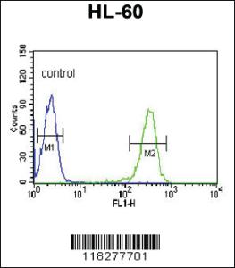 Anti-IGJ Rabbit Polyclonal Antibody