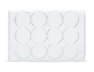 Costar® 12-well flat-bottom plate, tissue culture-treated