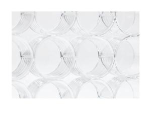 Costar® 12-well flat-bottom plate, tissue culture-treated